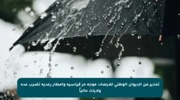 تحذير من الديوان الوطني للأرصاد: موجة حر قياسية وأمطار رعدية تضرب عدة ولايات حالياً